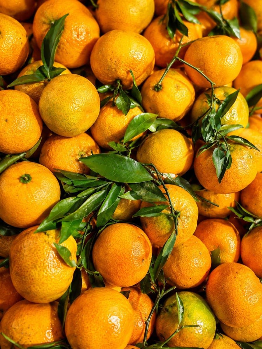 Vergamota