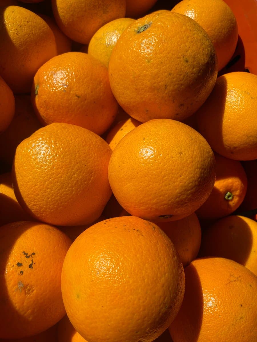 Laranja Bahia importada