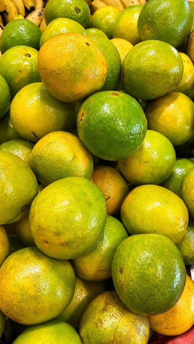 Laranja pera