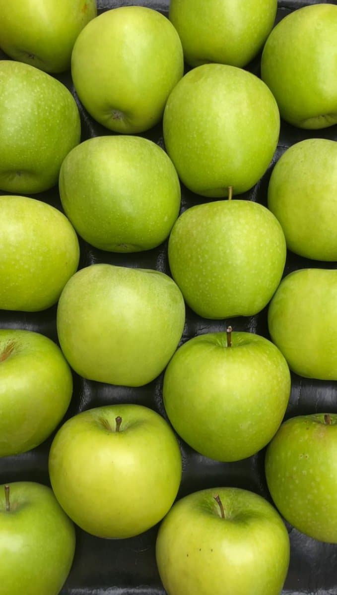 Maçã Verde