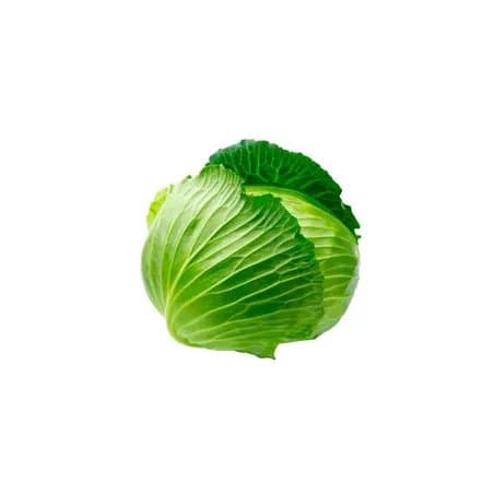 Repolho verde