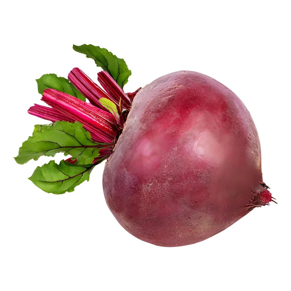 Beterraba