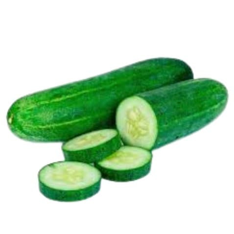 Pepino comum
